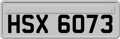 HSX6073