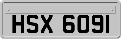 HSX6091