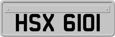 HSX6101