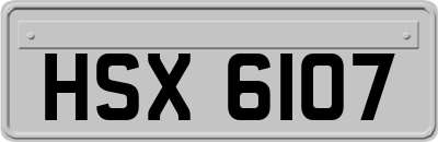 HSX6107