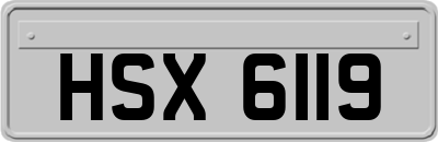 HSX6119
