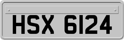 HSX6124