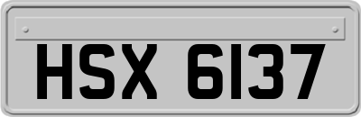 HSX6137