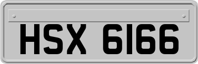 HSX6166