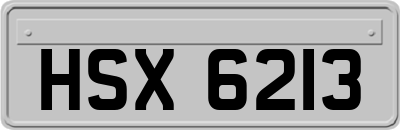 HSX6213