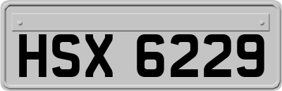 HSX6229