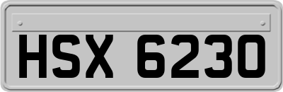 HSX6230