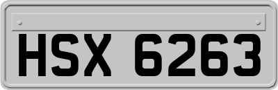 HSX6263