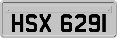 HSX6291