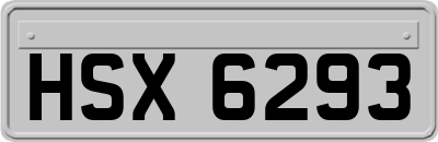 HSX6293