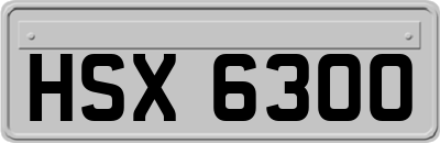 HSX6300