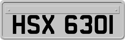 HSX6301