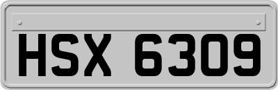 HSX6309