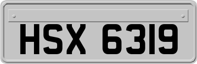 HSX6319