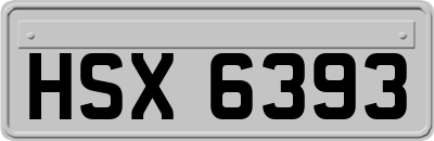 HSX6393
