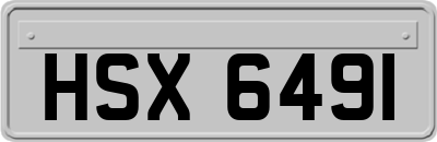 HSX6491