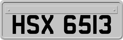 HSX6513