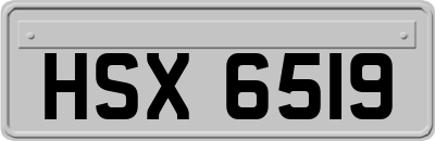 HSX6519
