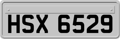 HSX6529