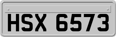 HSX6573