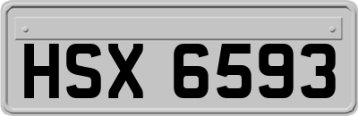 HSX6593
