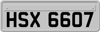 HSX6607