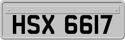 HSX6617