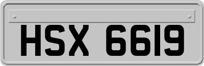 HSX6619