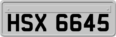 HSX6645
