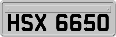 HSX6650