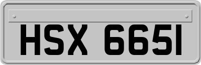 HSX6651