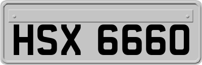 HSX6660