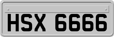 HSX6666