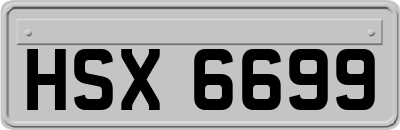 HSX6699