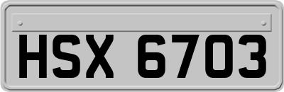 HSX6703