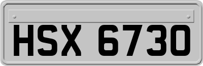 HSX6730