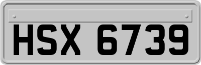 HSX6739