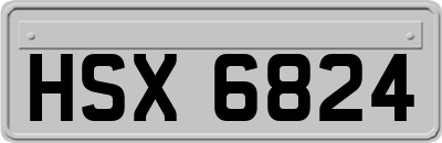 HSX6824
