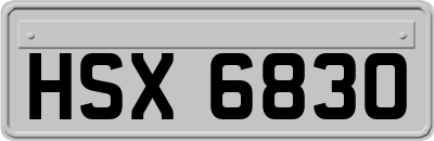 HSX6830