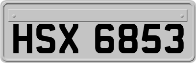 HSX6853
