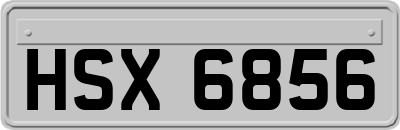 HSX6856