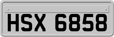 HSX6858