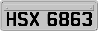 HSX6863
