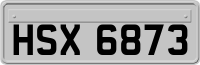 HSX6873