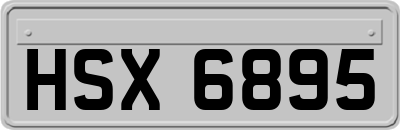 HSX6895