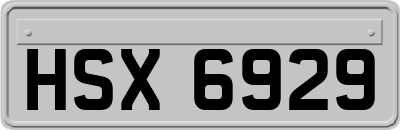 HSX6929