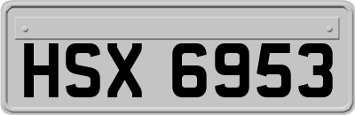 HSX6953