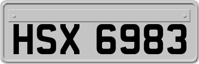 HSX6983