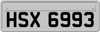 HSX6993