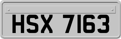 HSX7163